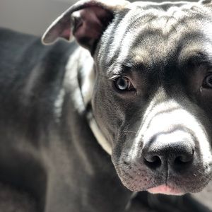 Meet your Posher, Darrick